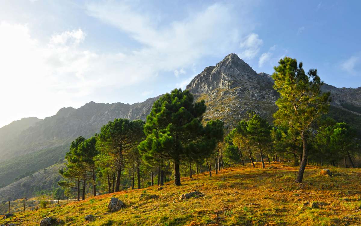 Parque Natural de la Sierra de Grazalema
