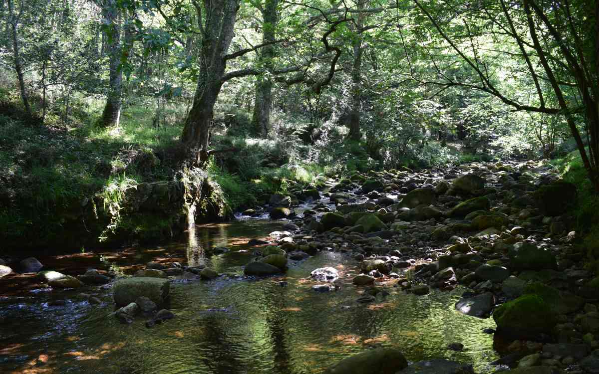 Parque Natural de Saja-Besaya