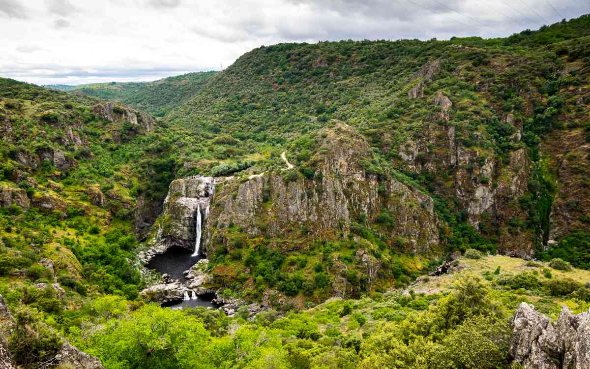 La cascada y sus alrededores