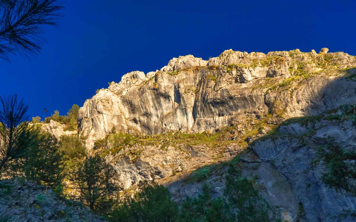 Parque Natural Sabinares del Arlanza - La Yecla