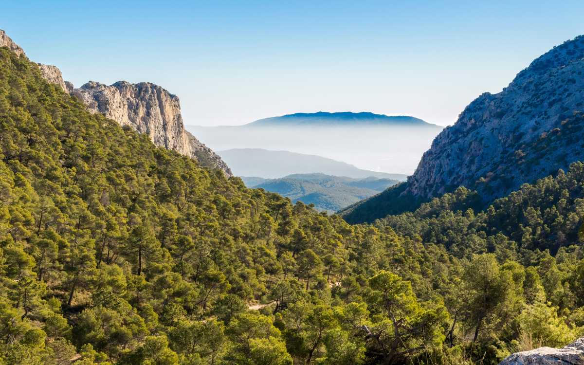Sierra Espuña.