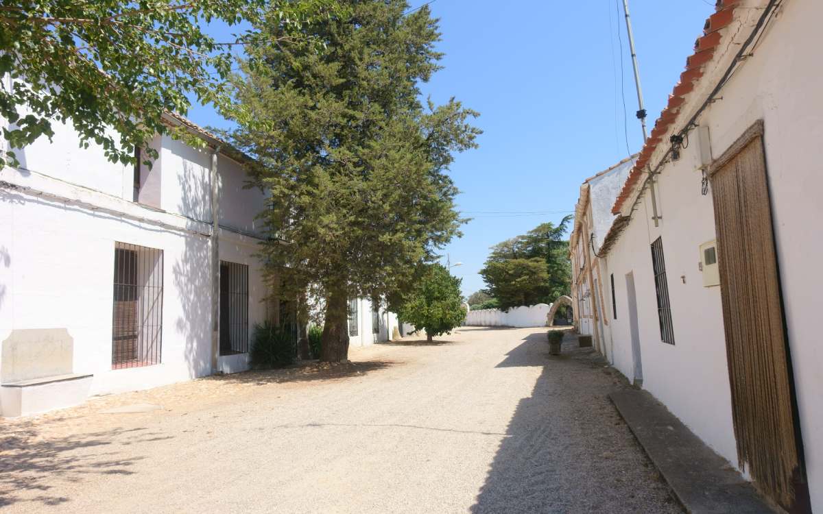Illán de Vacas