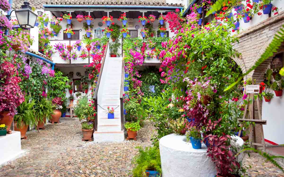 Típico patio de Córdoba