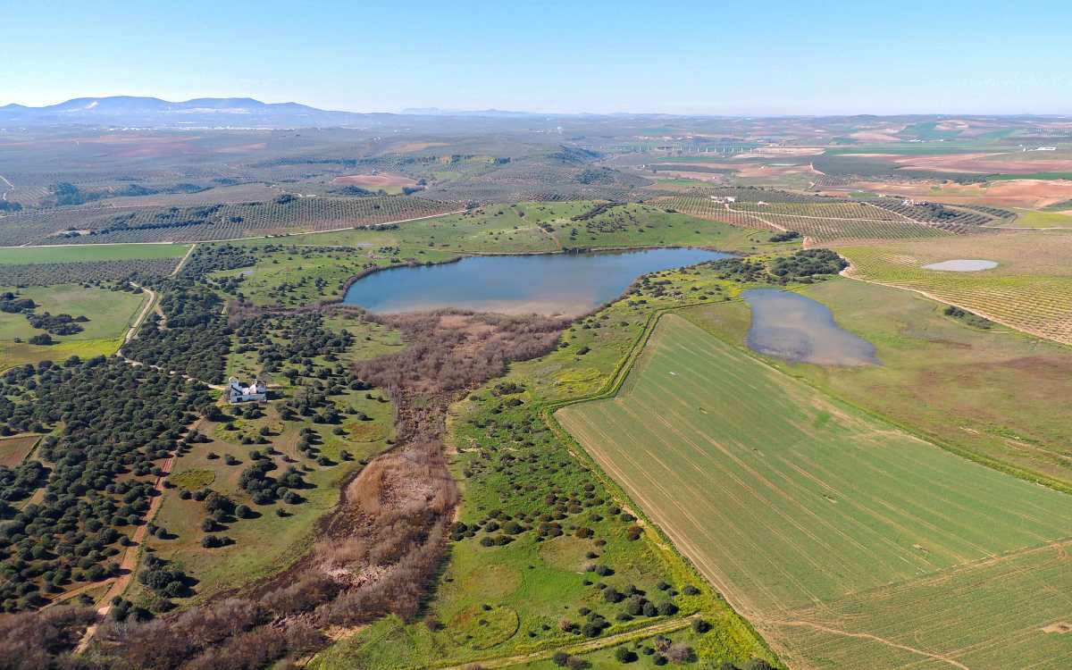 Laguna de Tíscar