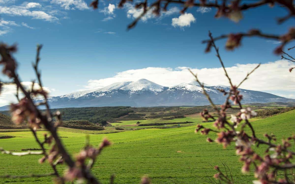 Moncayo