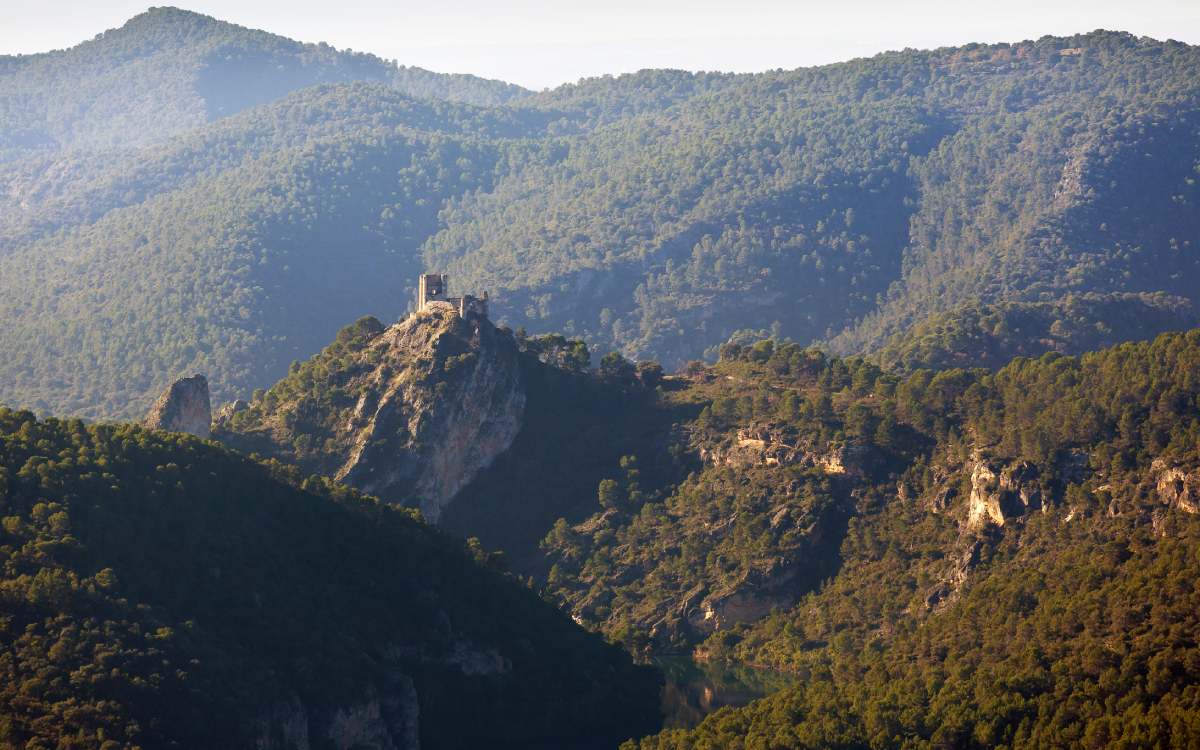 Castillo de Anguix