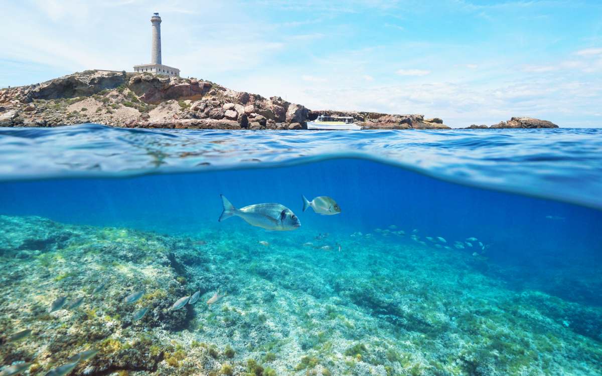 Cabo de Palos