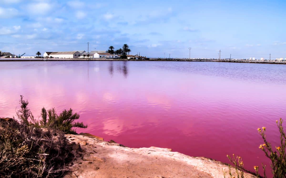 Salinas de San Pedro del Pinatar