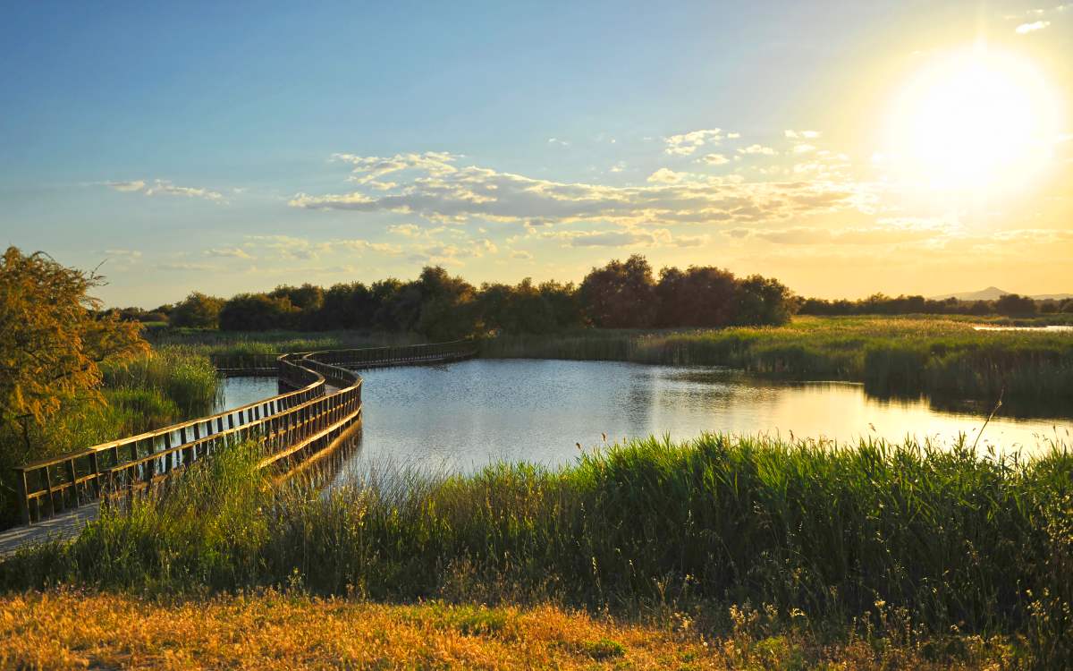 Parque Nacional de las Tablas de Daimiel