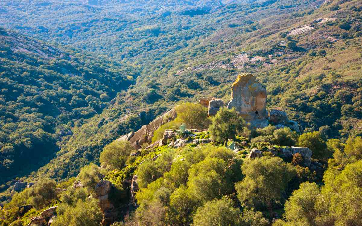 Parque Natural de Los Alcornocales