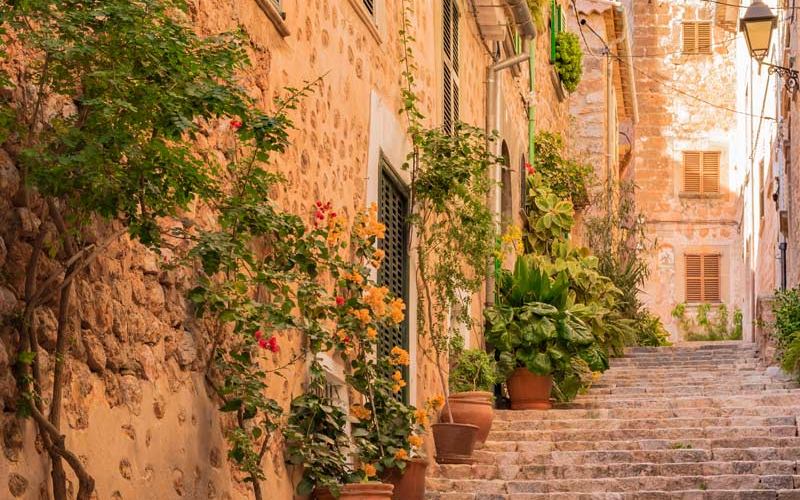 Calle adoquinada con plantas en Fornalutx