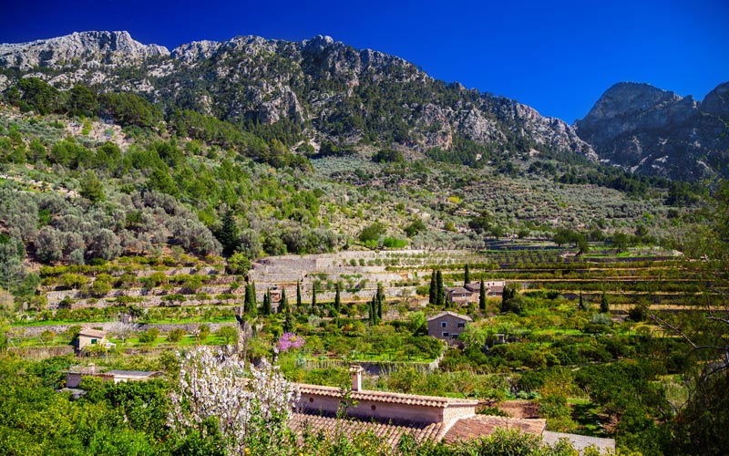 Montañas cercanas a Fornalutx