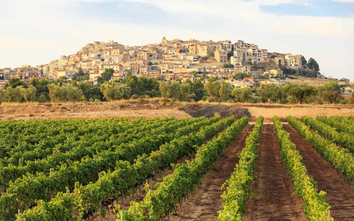 Horta de Sant Joan