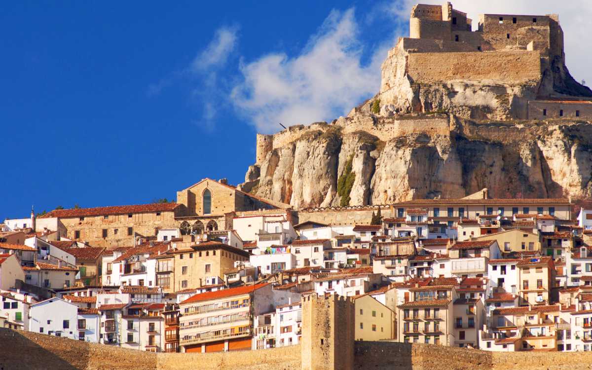Morella