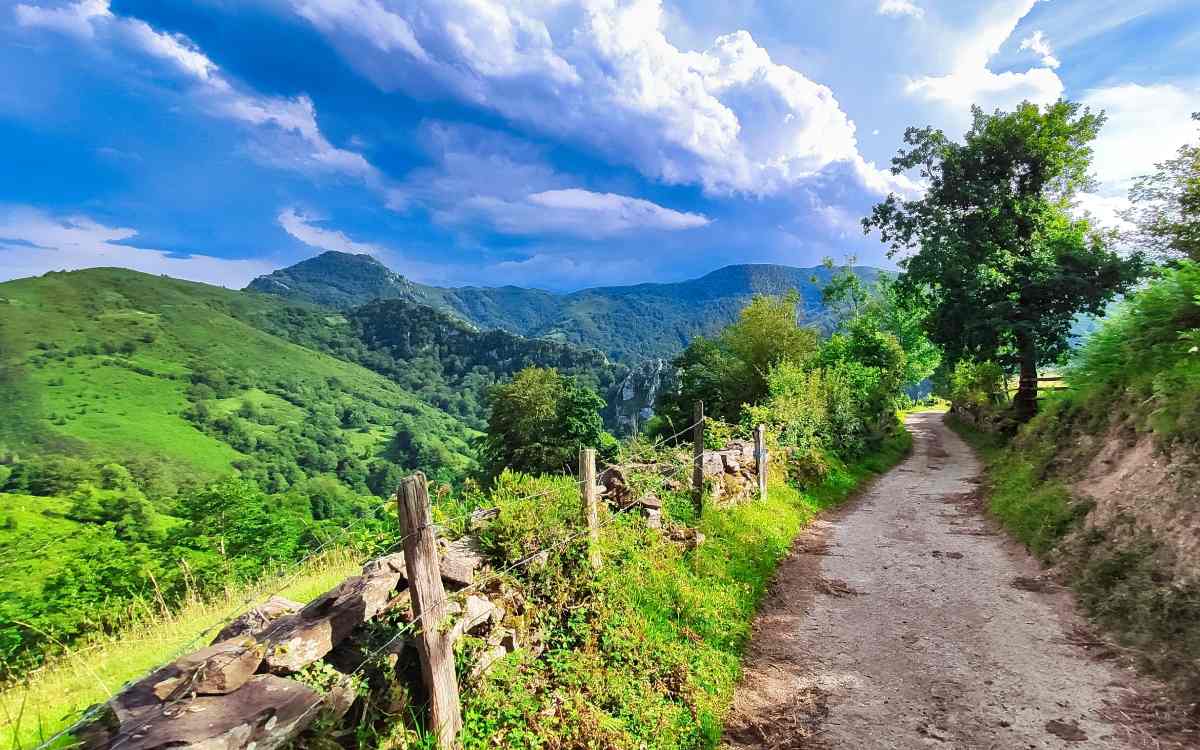 Parque Natural de Redes