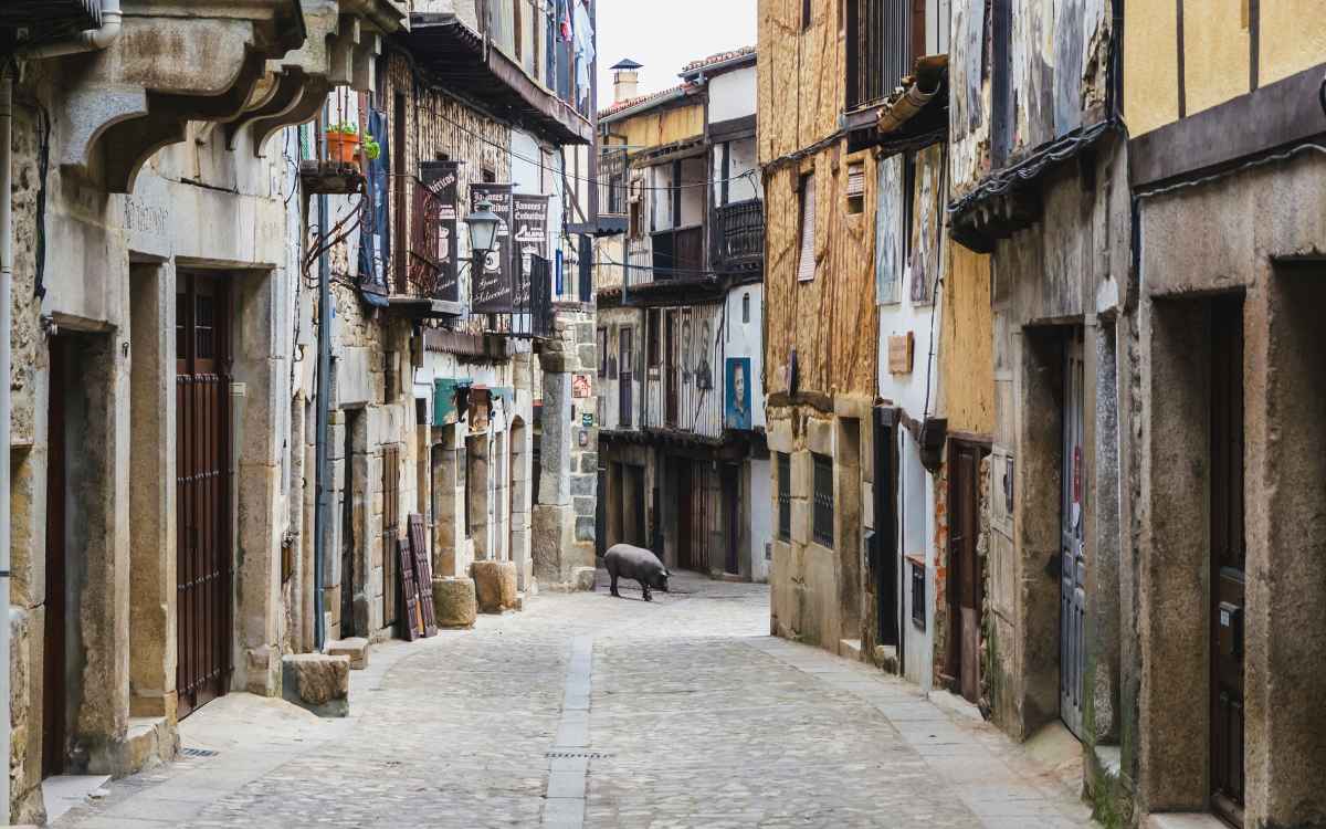 Mogarraz