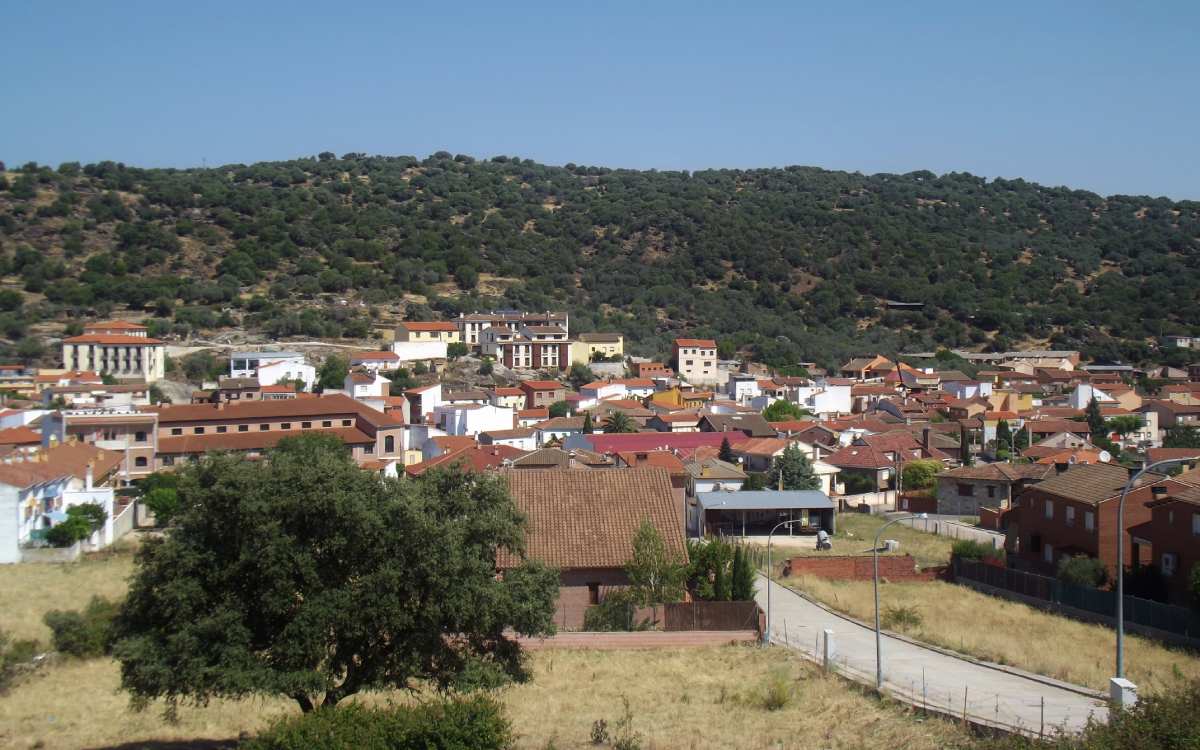 Pepino