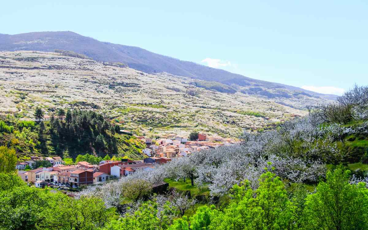 Valle del Jerte