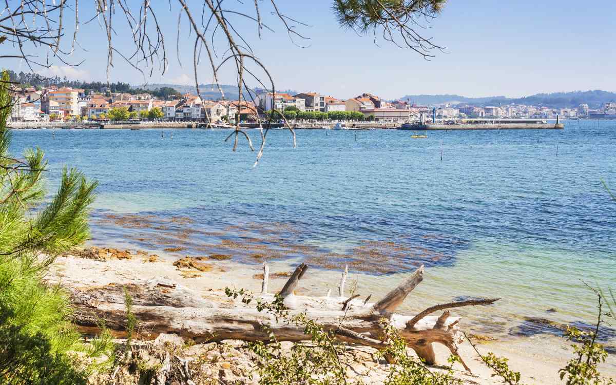 Vistas a Carril desde la Isla de Cortegada