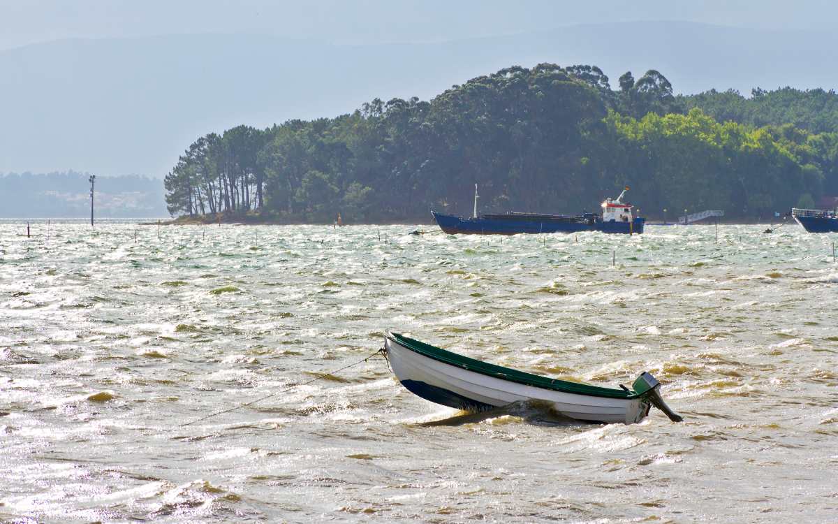Isla de Cortegada
