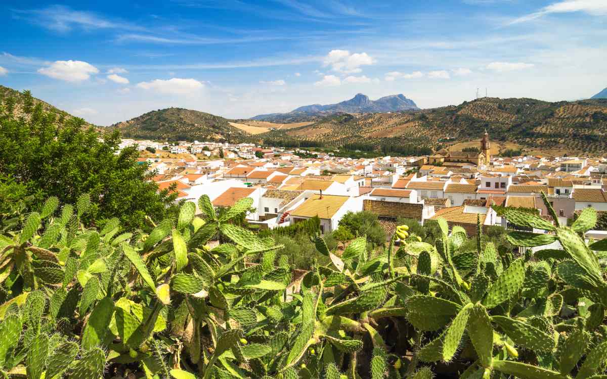 Algodonales