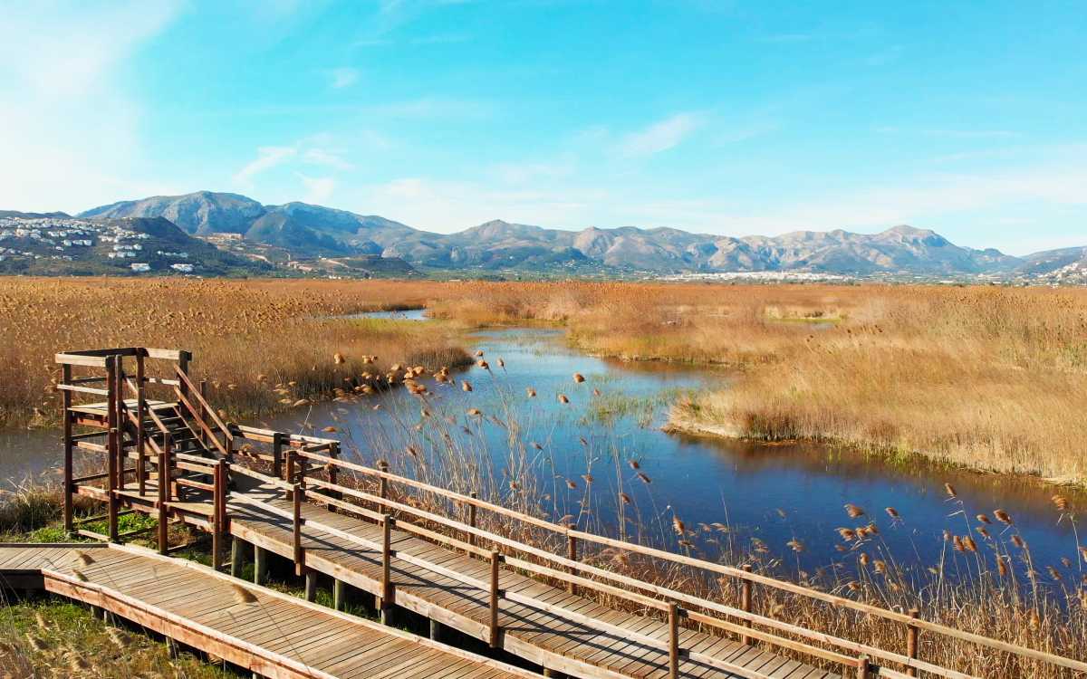 Parque Natural del Marjal de Pego-Oliva