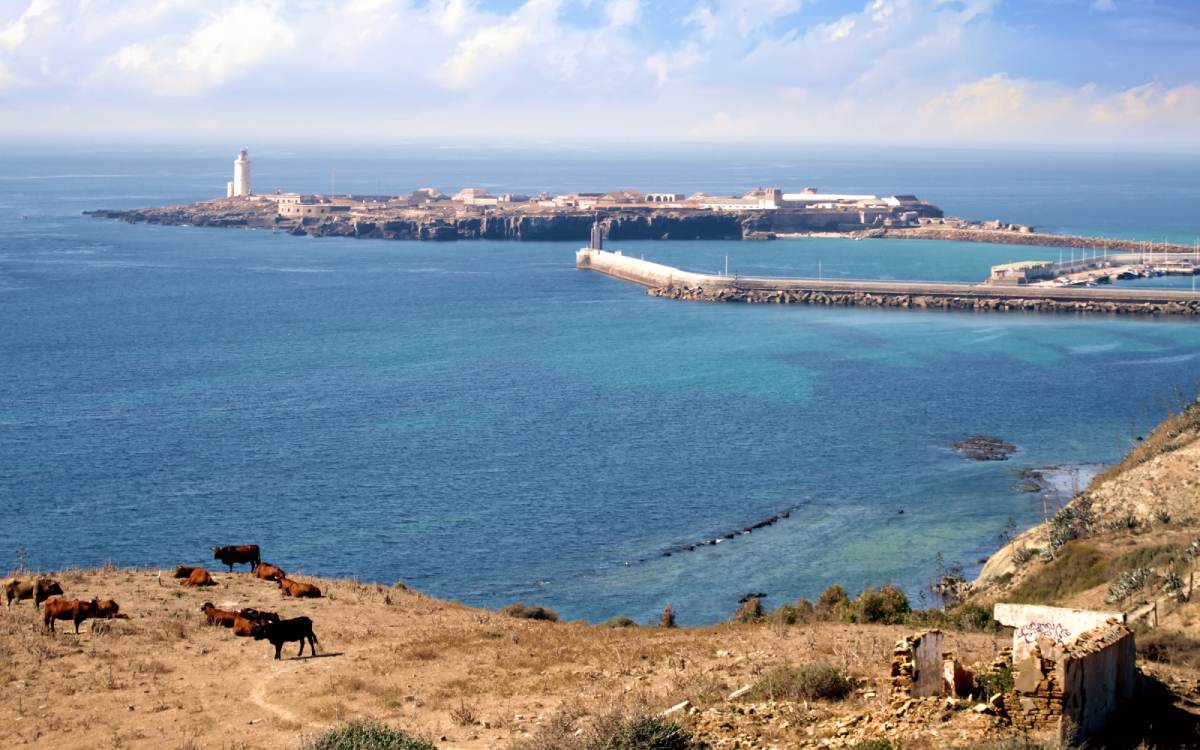 Isla de las Palomas