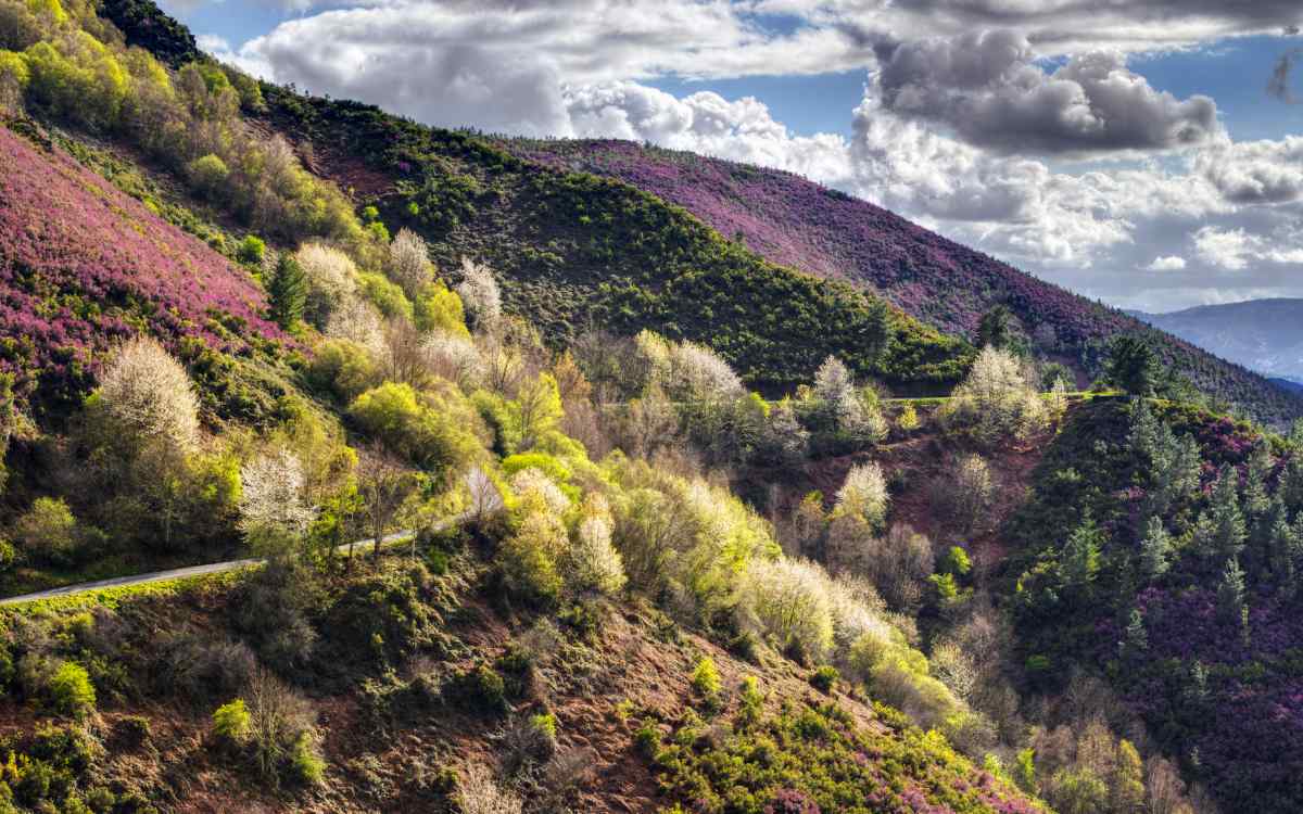 Sierra de O Courel
