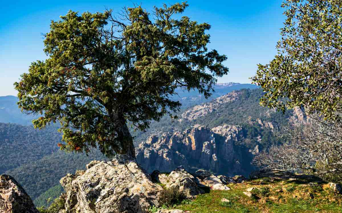Parque Natural de Despeñaperros