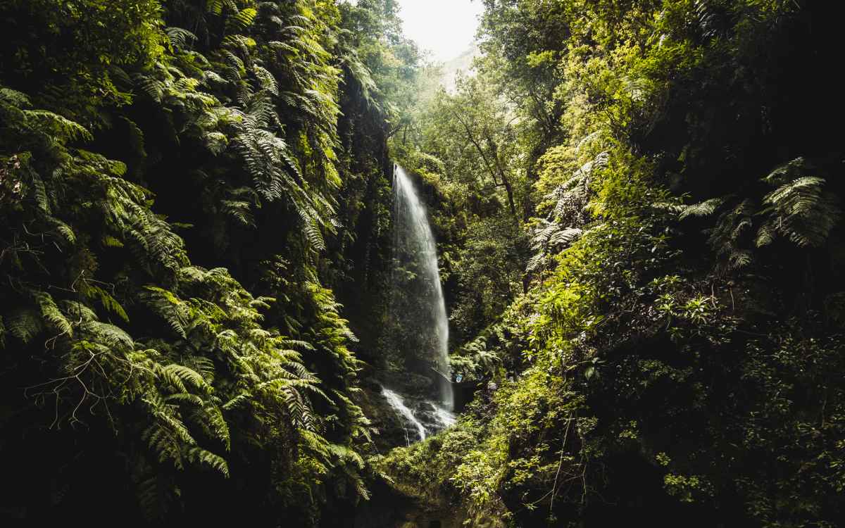 Cascada de Los Tilos