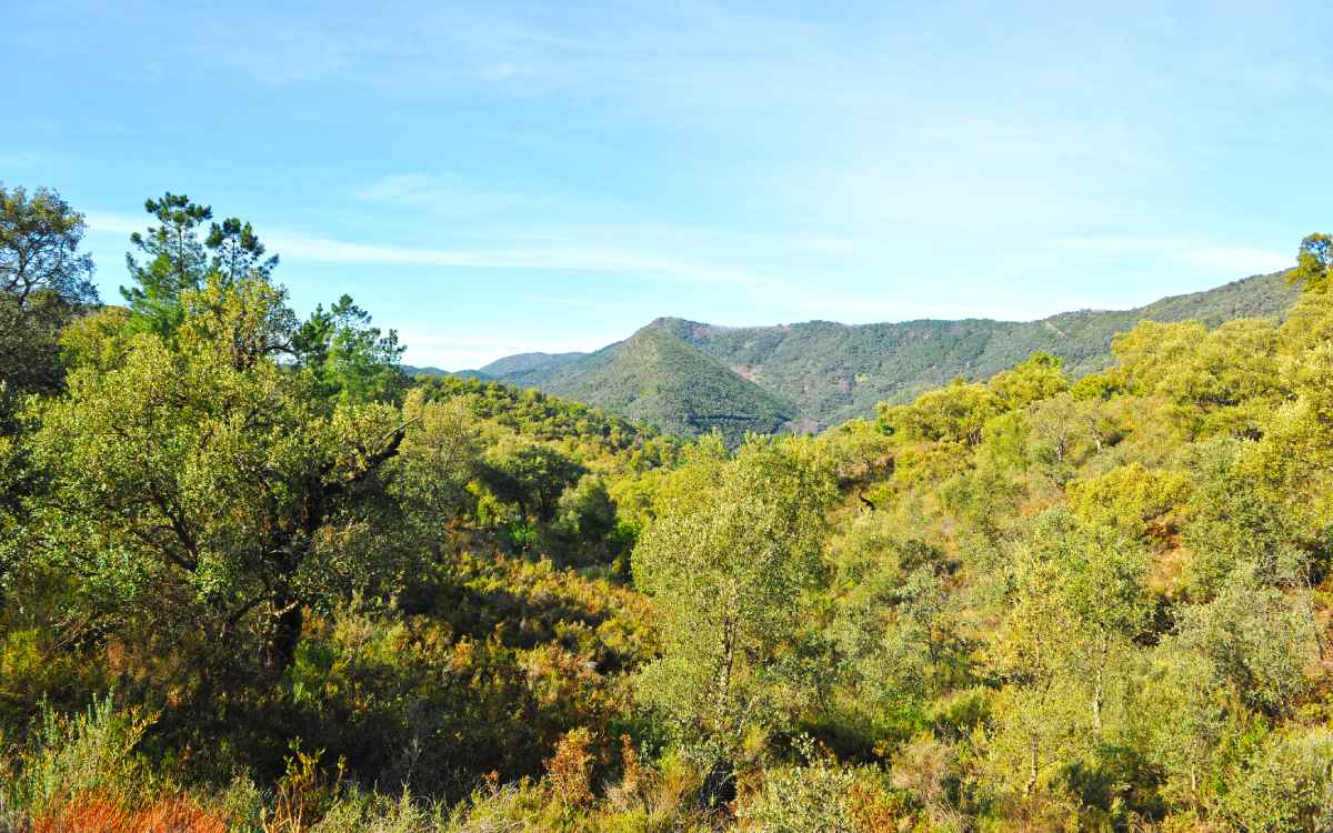 Sierra de Aracena