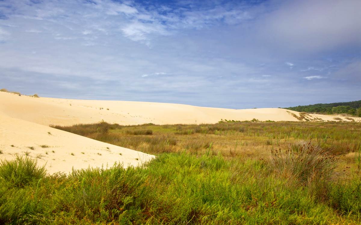 Dunas de Corrubedo