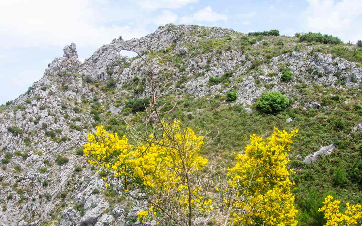 El entorno del monumento natural