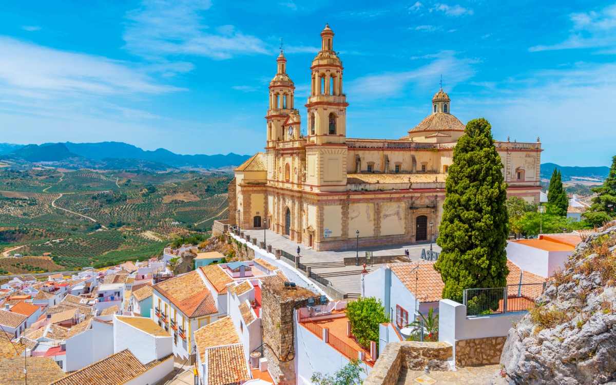 Olvera