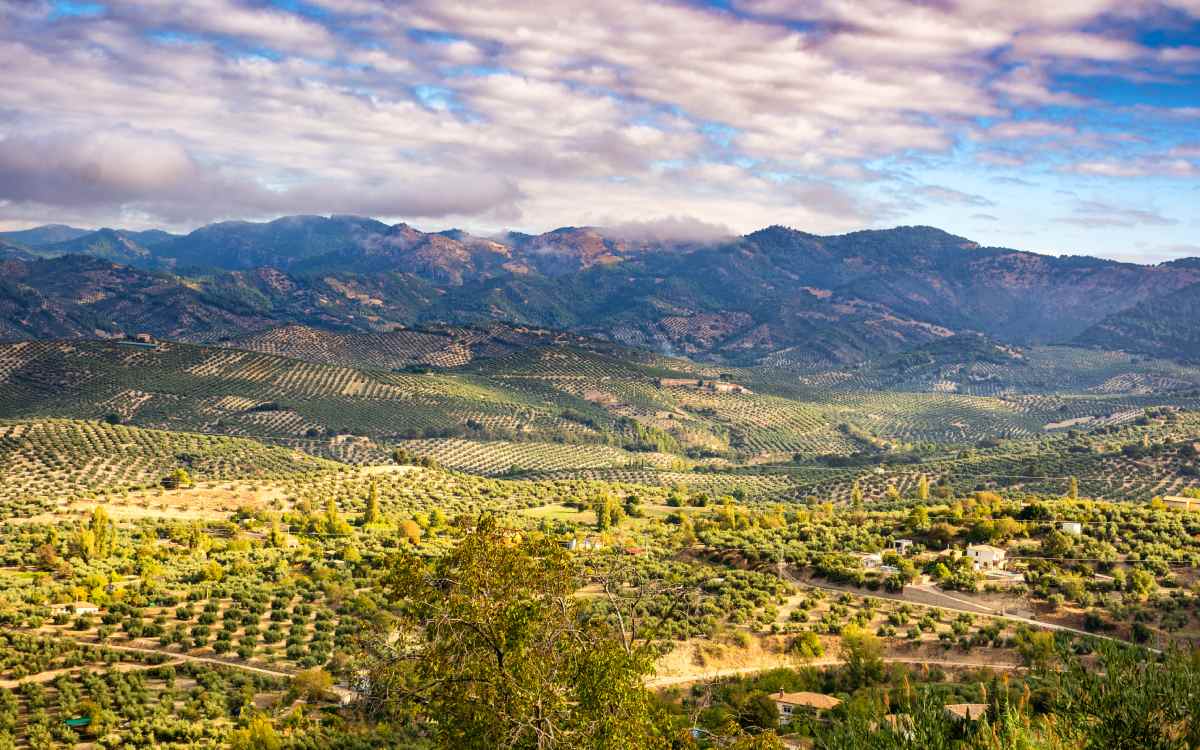 Sierra de Cazorla.