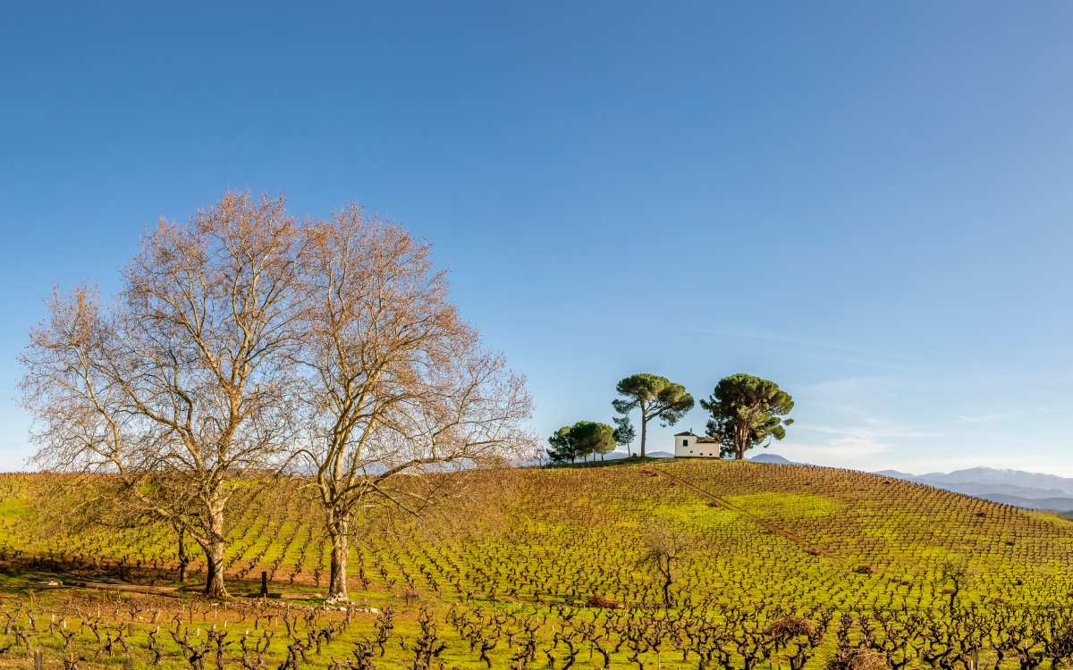 Alrededores de Villafranca del Bierzo.