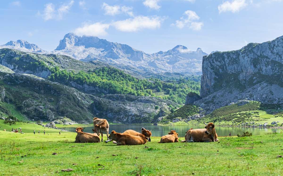 Lagos de Covadonga.