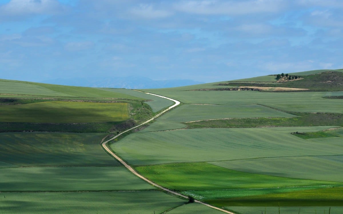 Santo Domingo de la Calzada es parte del Camino de Santiago.