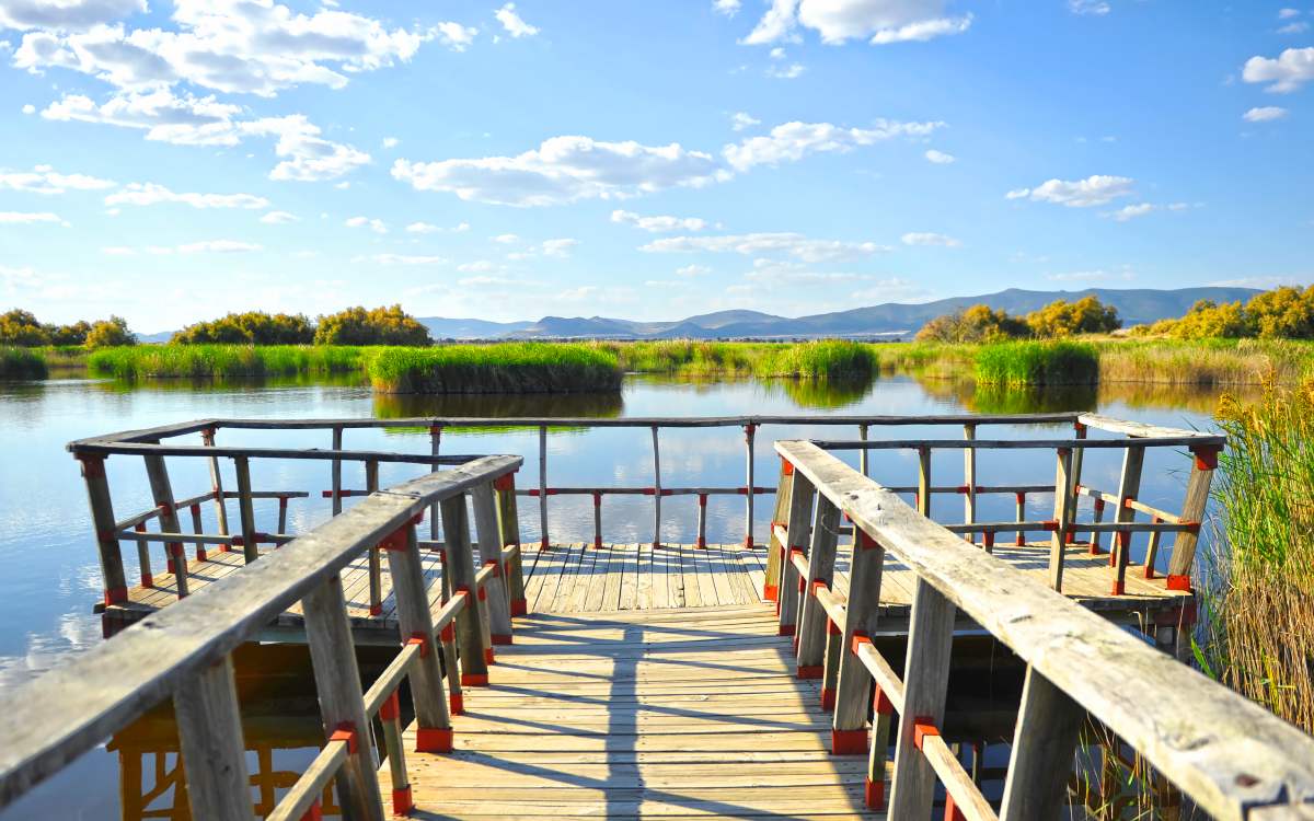 Las Tablas de Daimiel.