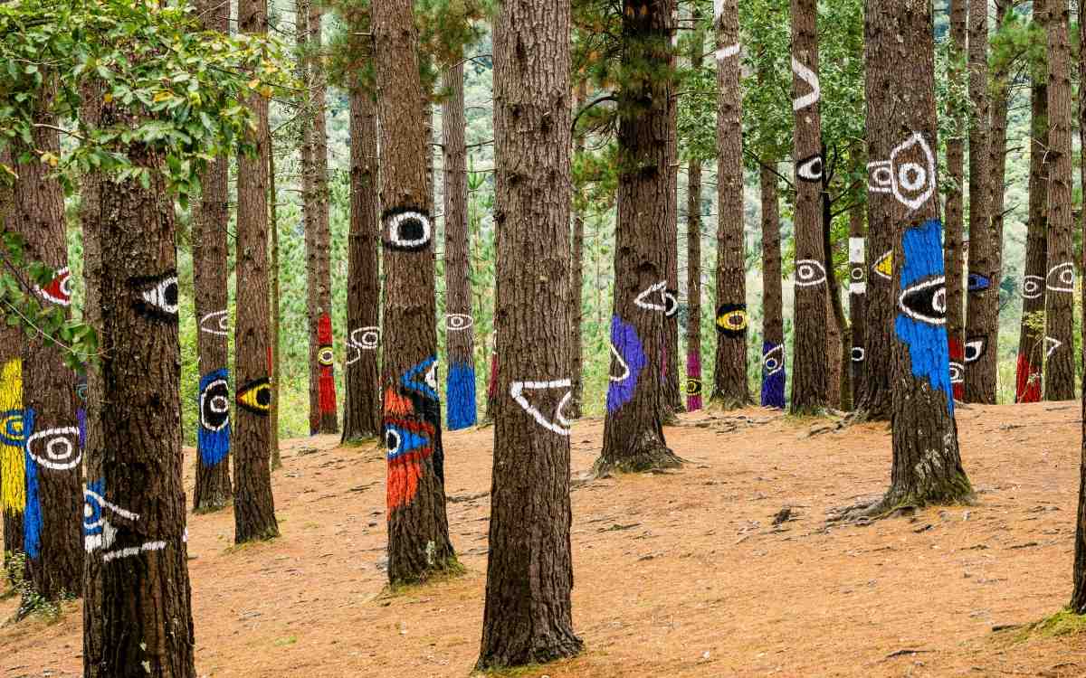 Bosque de Oma.