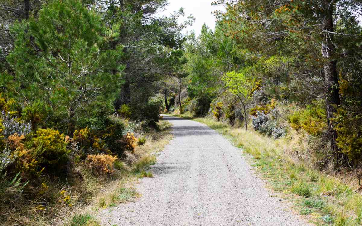La vía verde más larga de España