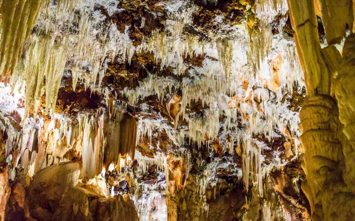 Cuevas del Águila