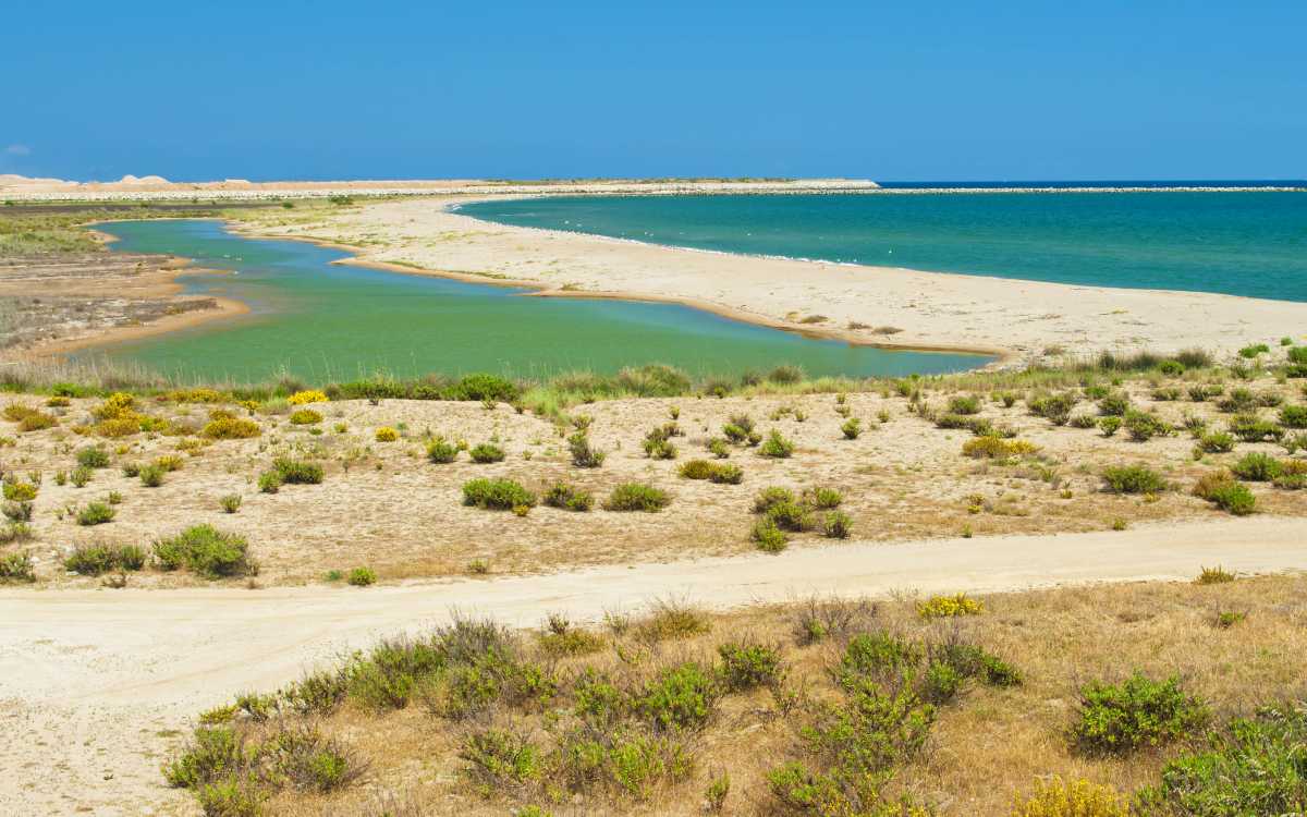 Delta del Llobregat