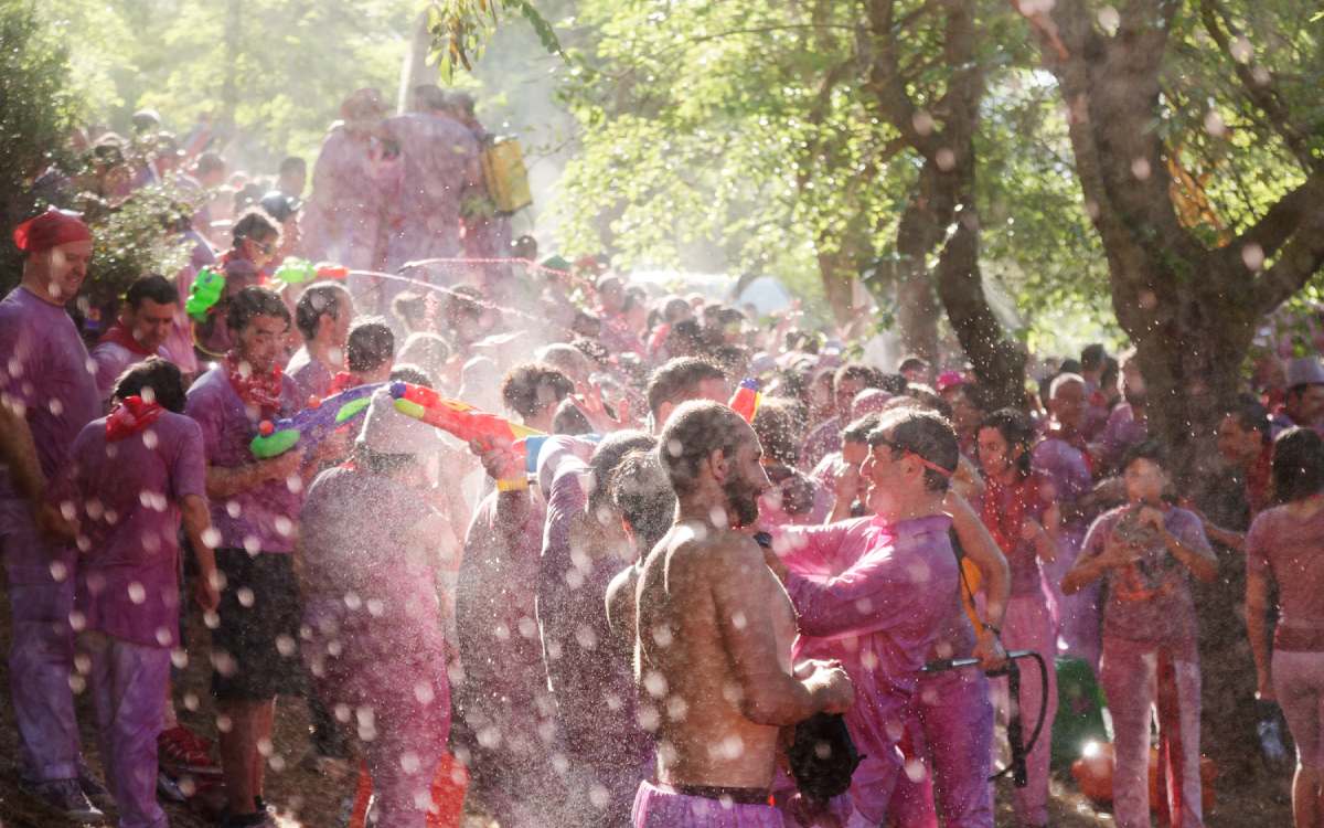 Batalla del Vino de Haro