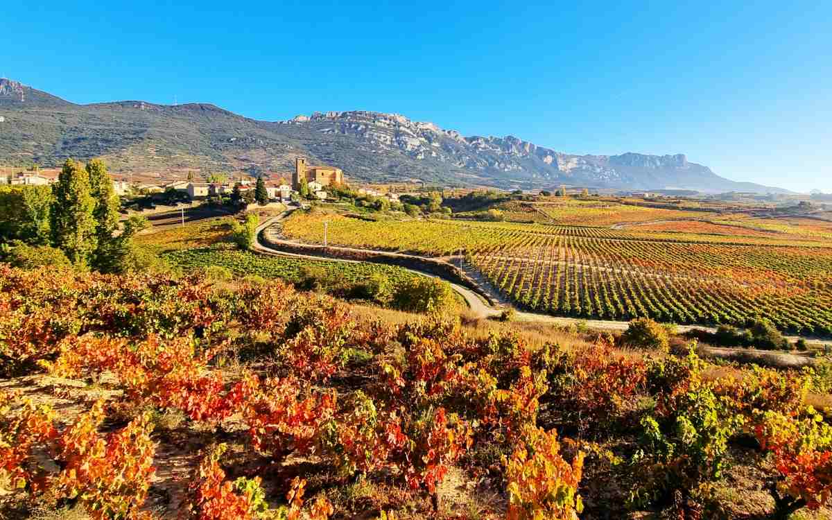 La Rioja Alavesa