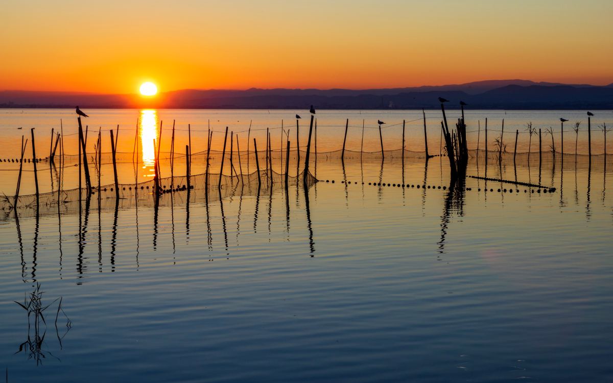 Albufera de Valencia