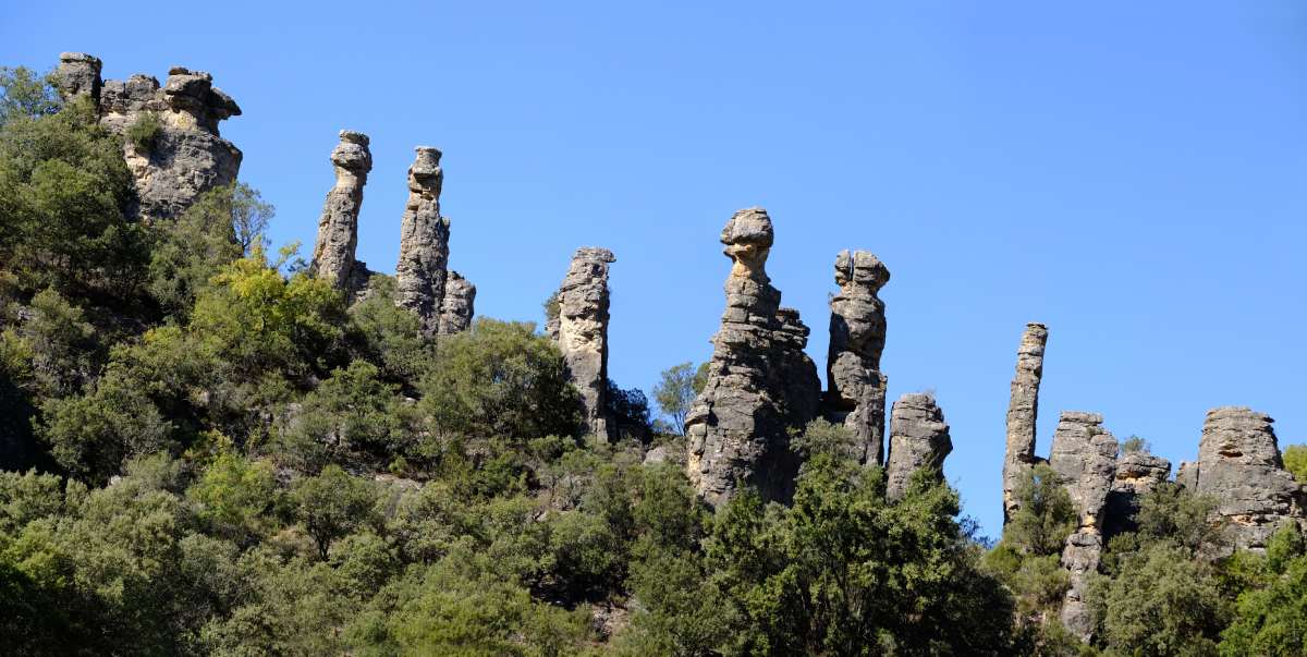 Frailes del Reato