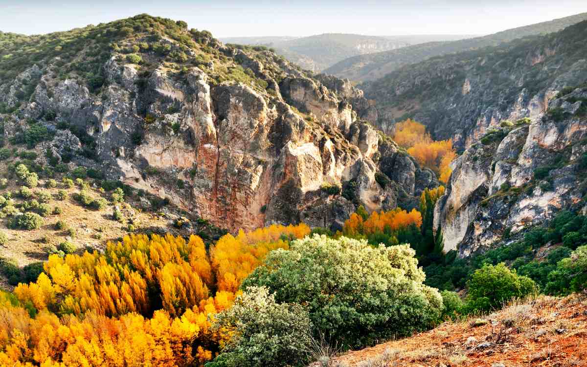 Parque del Barranco del Río Dulce