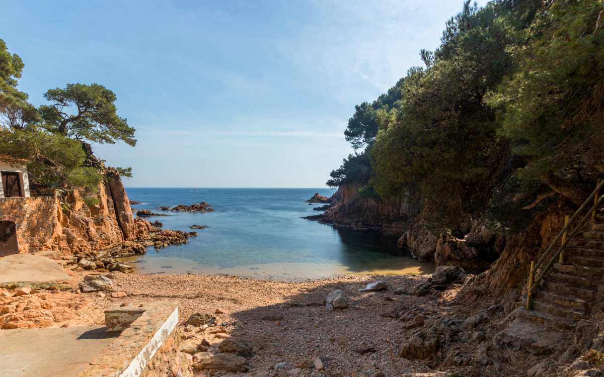 Aigua Xelida