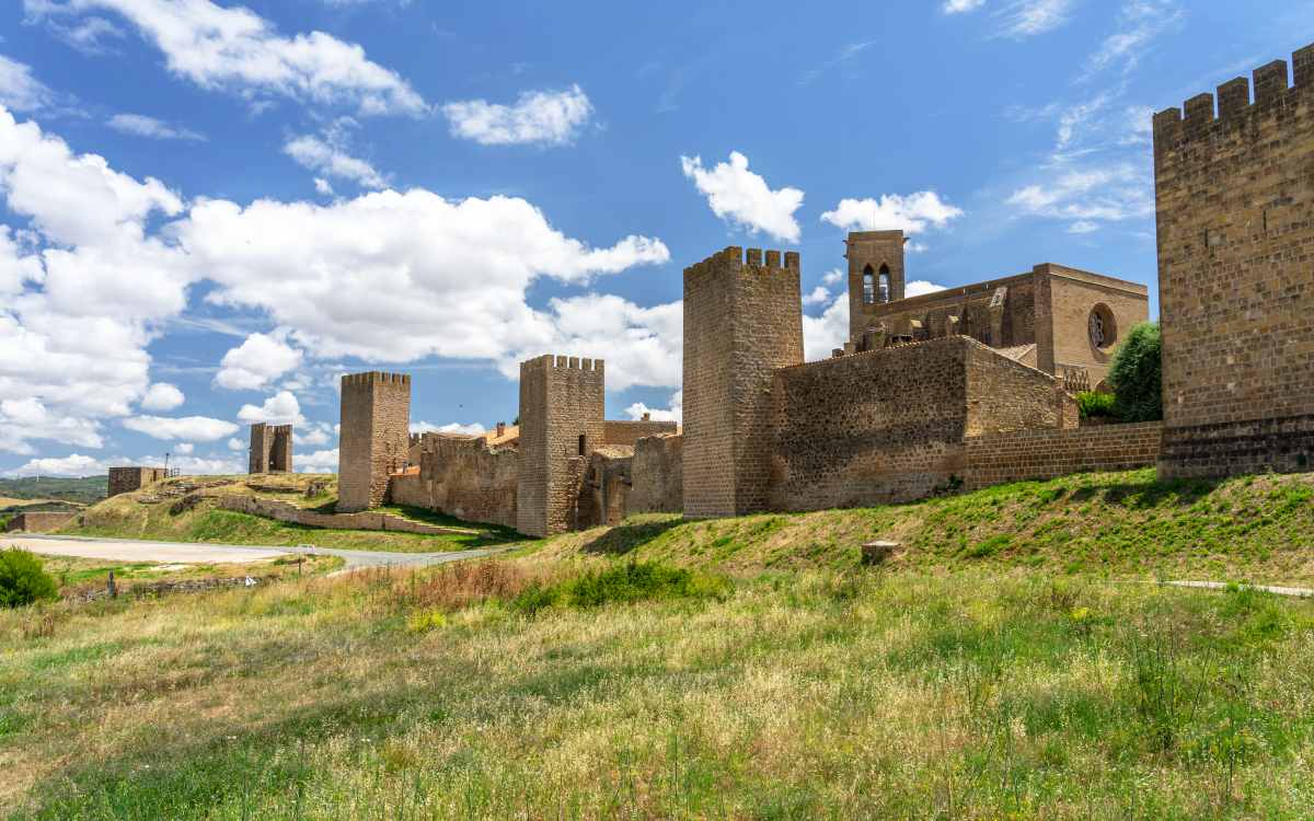 Conjunto fortificado de Artajona